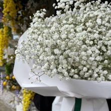 Bouquet of White Gypsophila in White Paper alt vedere product 3
