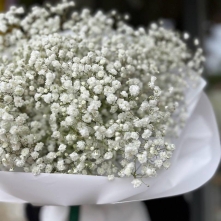 Bouquet of White Gypsophila in White Paper alt vedere product 5