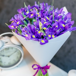 Bouquet of 25 irises in white paper