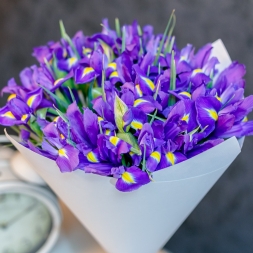 Bouquet of 25 irises in white paper