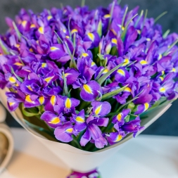 Bouquet of 25 irises in white paper