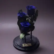 3 Blue Preserved Roses in Glass Dome alt vedere product 2