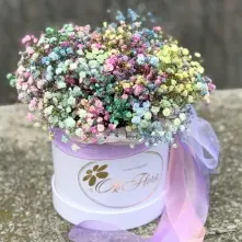 Box with Rainbow Gypsophila alt vedere product