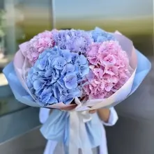 Buchet din Hortensii Multicolore alt vedere product