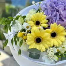 Buchet cu Hortensie Mov și Gerbere Galbene alt vedere product 4