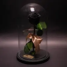 Preserved Black Rose in Glass Dome alt vedere product