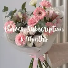 6-Month Basic Subscription alt vedere product