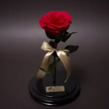 Red Great Preserved Rose in Glass Dome alt vedere product 2