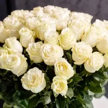White Roses 80-90 cm alt vedere product 3