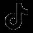 https://livrareflori.md/filesdir/original/kz/972e69f4-6be4-4085-8e9d-964b80469344/60603-tiktok.png photo