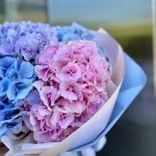 Buchet din Hortensii Multicolore alt vedere product 4