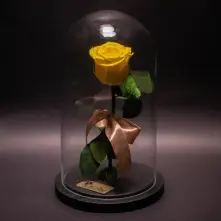 Preserved Yellow Rose in Glass Dome alt vedere product