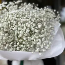 Bouquet of White Gypsophila in White Paper alt vedere product 5