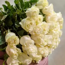 White Roses 80-90 cm alt vedere product 2