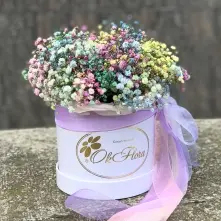Box with Rainbow Gypsophila alt vedere product 3