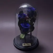 3 Blue Preserved Roses in Glass Dome alt vedere product
