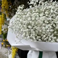Bouquet of White Gypsophila in White Paper alt vedere product 3