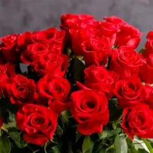 Red Roses 80-90 cm alt vedere product 3