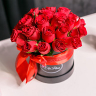Info About Lux Collection of Red Roses